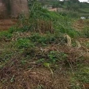 Mbankomo (Yaoundé) – Image 2