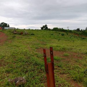 Site de kendeck – Image 3