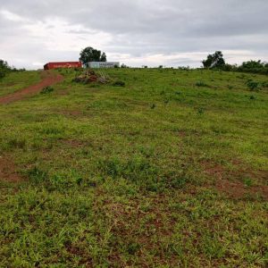 Site de kendeck – Image 1